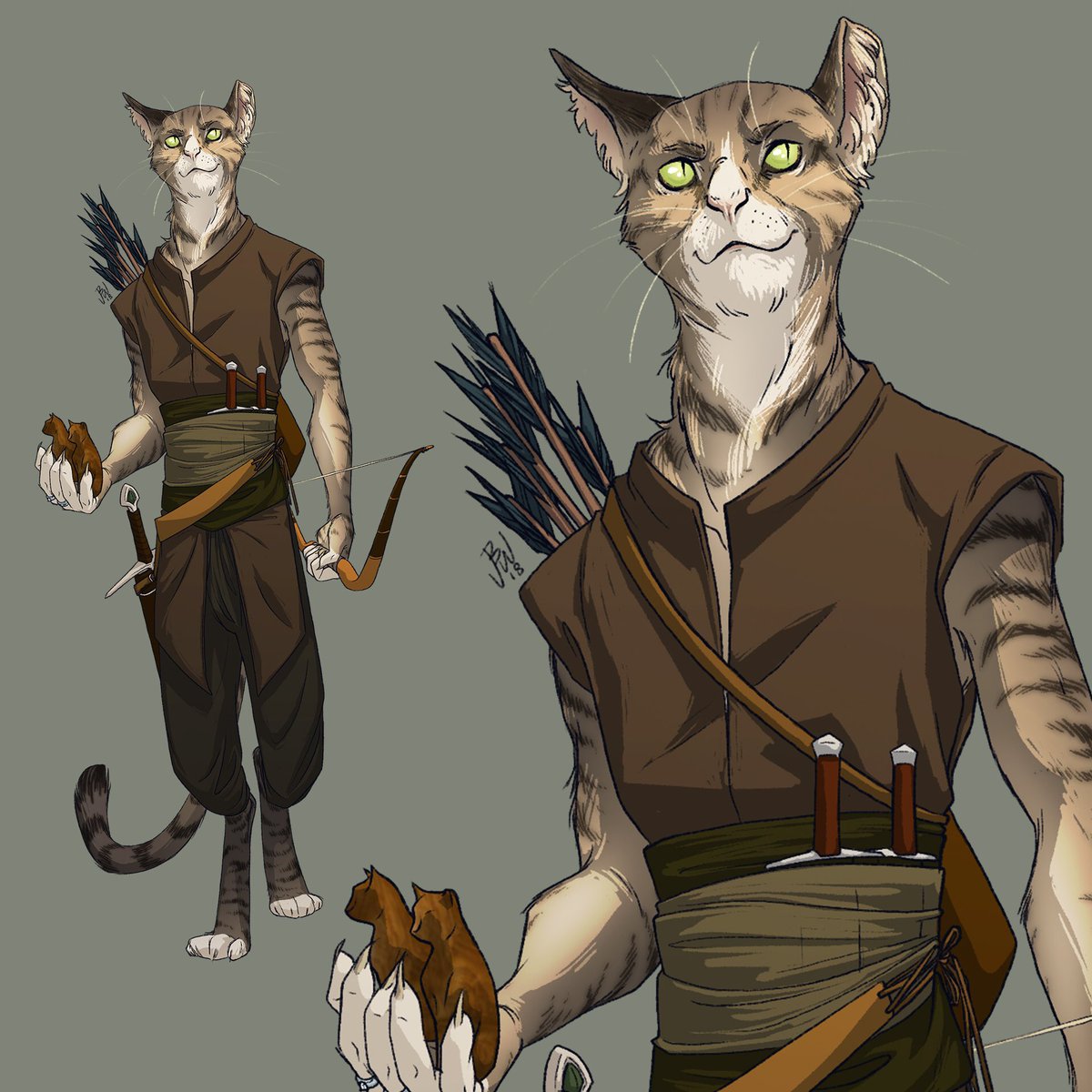 Tabaxi.