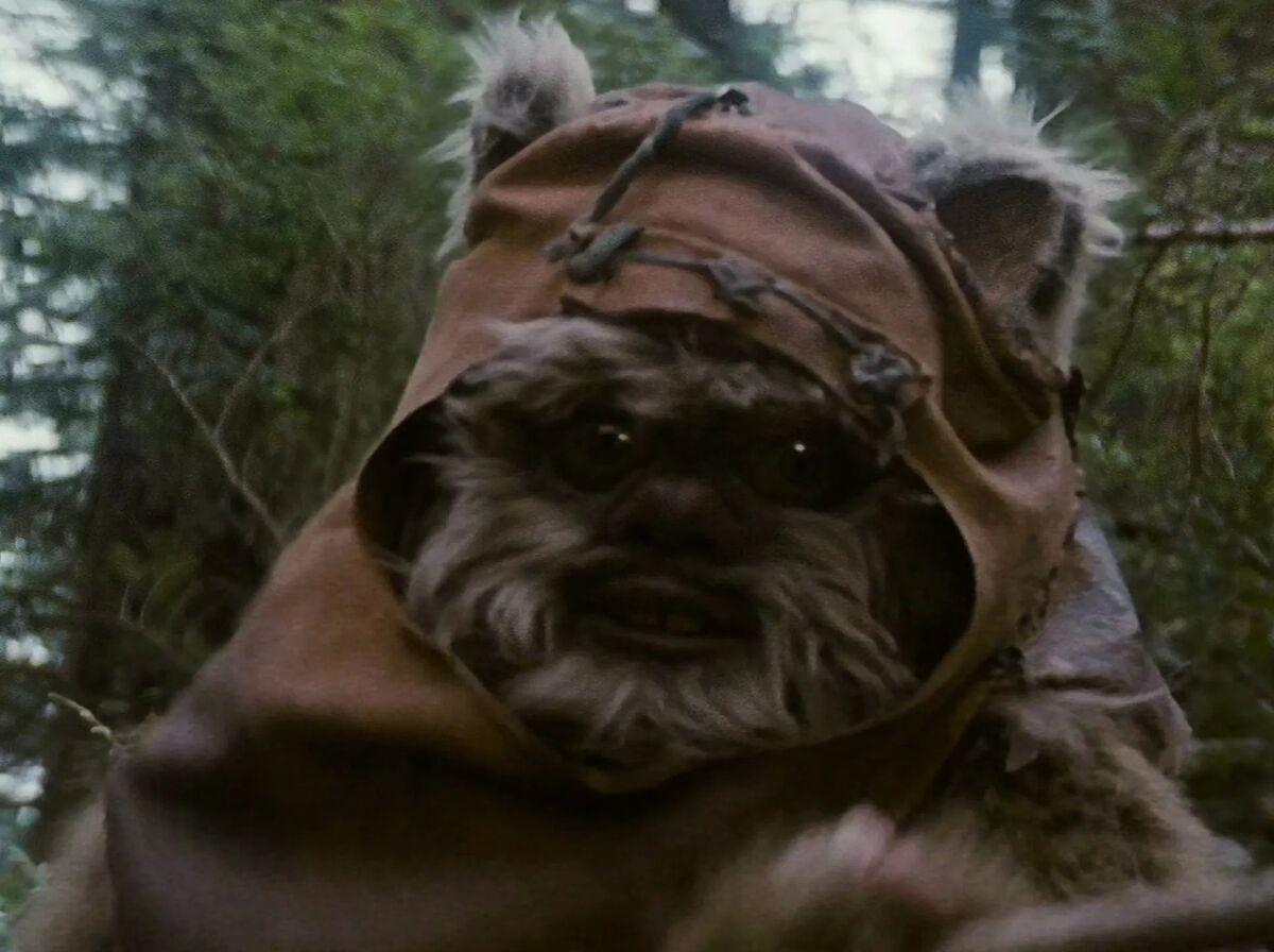Warwick Davis | Film and Television Wikia | Fandom