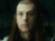 Carl van Roon as Mirkwood Elf