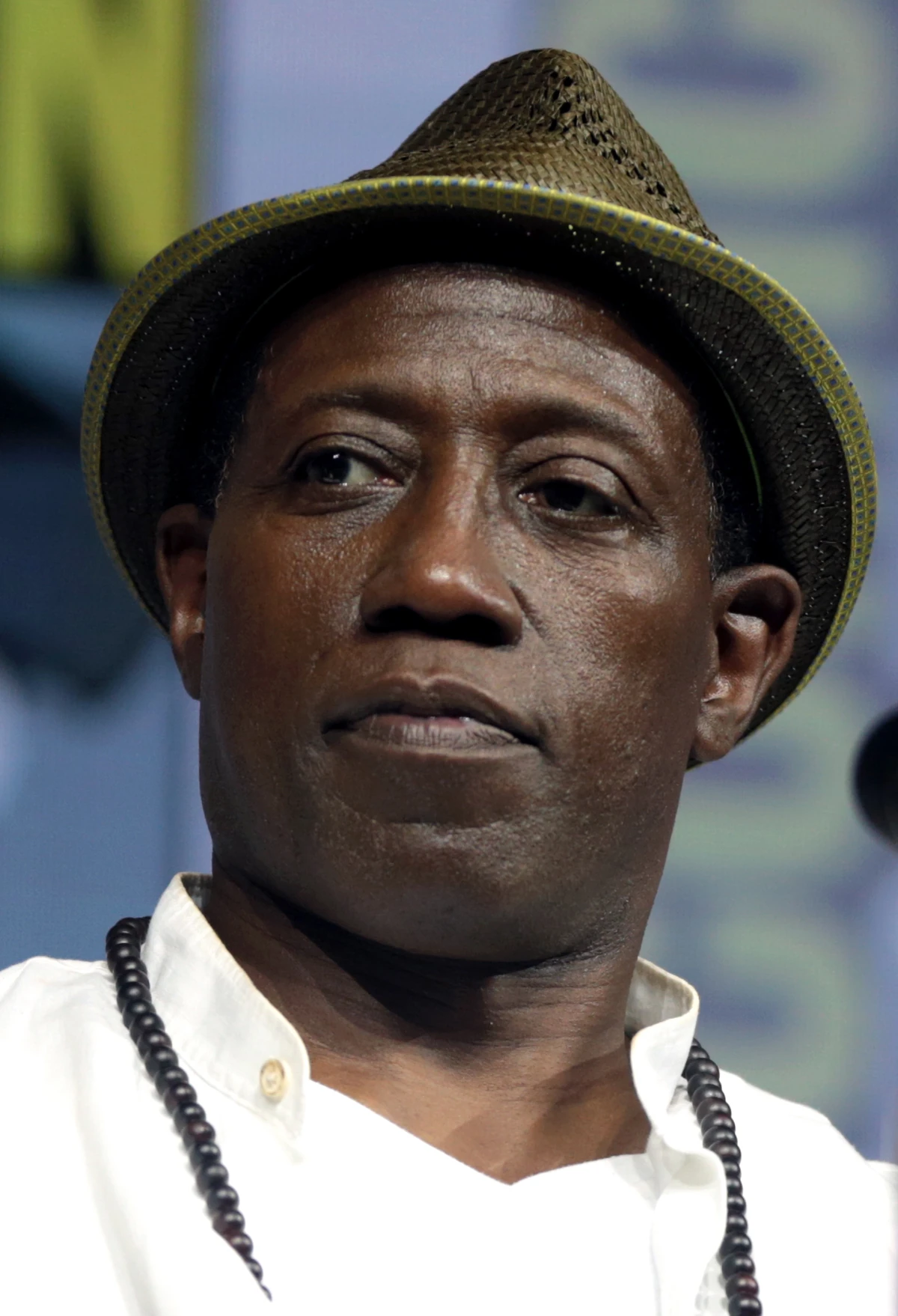 Wesley Snipes | Film and Television Wikia | Fandom
