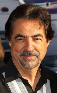 Joe Mantegna | Film and Television Wikia | Fandom