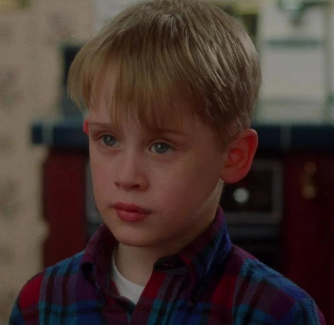 Home Alone | Film and Television Wikia | Fandom, image size:1081x1053