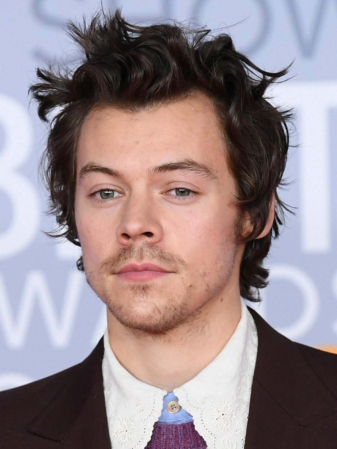 Harry Styles | Film and Television Wikia | Fandom