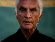 Terence Stamp as Stick