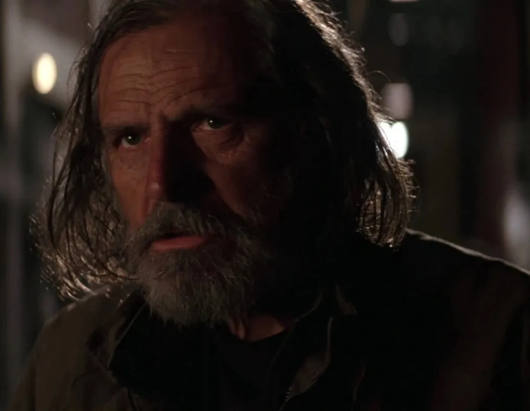 Rade Serbedzija | Film and Television Wikia | Fandom