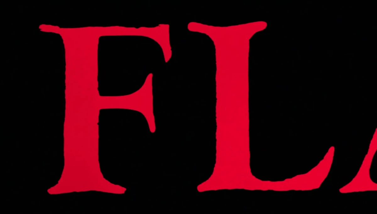 Flashdance Film and Television Wikia Fandom