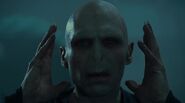 Ralph Fiennes as Lord Voldemort