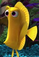 Finding Nemo | Film and Television Wikia | Fandom