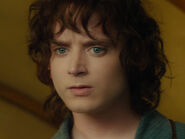 Elijah Wood as Frodo