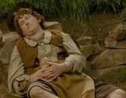 Sleeping Hobbit (Extended Edition)