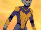 Wasp