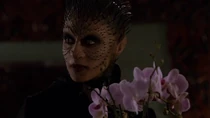 Raina-vision-flowers