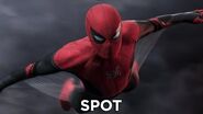 SPIDER-MAN FAR FROM HOME - Buckle Up 30" - Ab 4.7