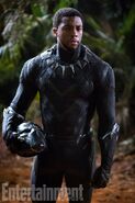 Black Panther Entertainment Weekly Bild 16