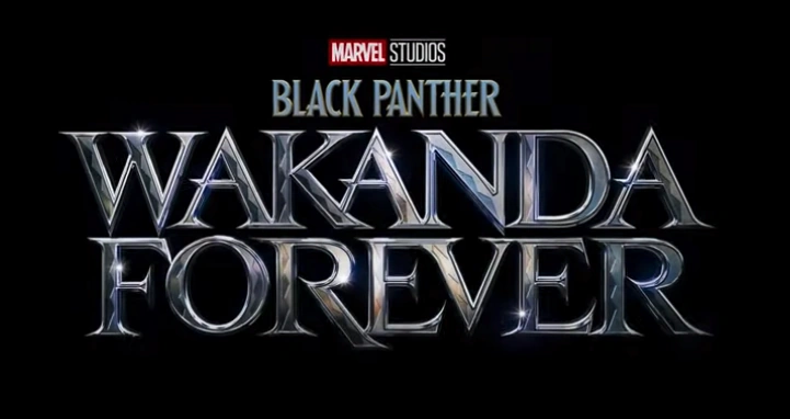 Black Panther Wakanda Forever Marvel Filme Wiki Fandom
