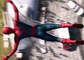 Web wings.jpg