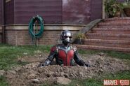 Ant-Man Marvel.com Bild 5