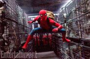 Spider-Man Homecoming Entertainemt Weekly Bild 1