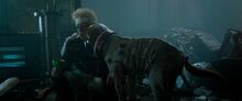 GotG-Post-Credits.jpg