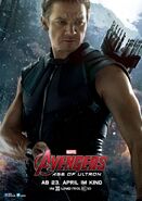 Avengers Age of Ultron deutsches Charakterposter Hawkeye