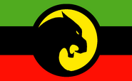 Flag of Wakanda