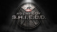 Marvel's Agents of SHIELD Logo 2