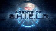 Marvel's Agents of S.H.I.E.L.D. Staffel 3 (2015-2016)*
