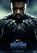 T'Challa - Black Panther und König von Wakanda