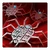 Nano-Spider-Tracers