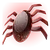 Spider-Tracer