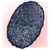 Artificial Fingerprint
