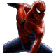 Spider-Man Icon Large 1