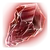Shard of Dominion