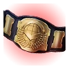 Championship Belt