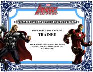 Trainee Certificate