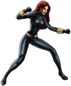 Classic Black Widow