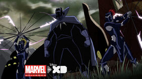 Black panther-