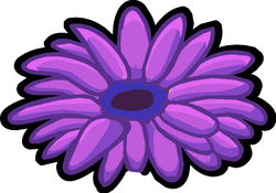 Pinz fleur violette.png