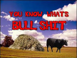 You Know What's Bullshit | Angry Video Game Nerd Wiki | Fandom