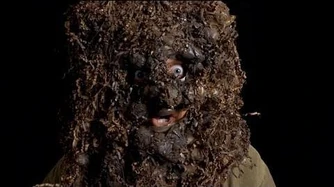 You_Know_What's_Bullshit!?_-_Feeding_Birds