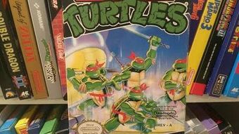 Angry Game Nerd Wiki, Ninja Turtle Bookcase