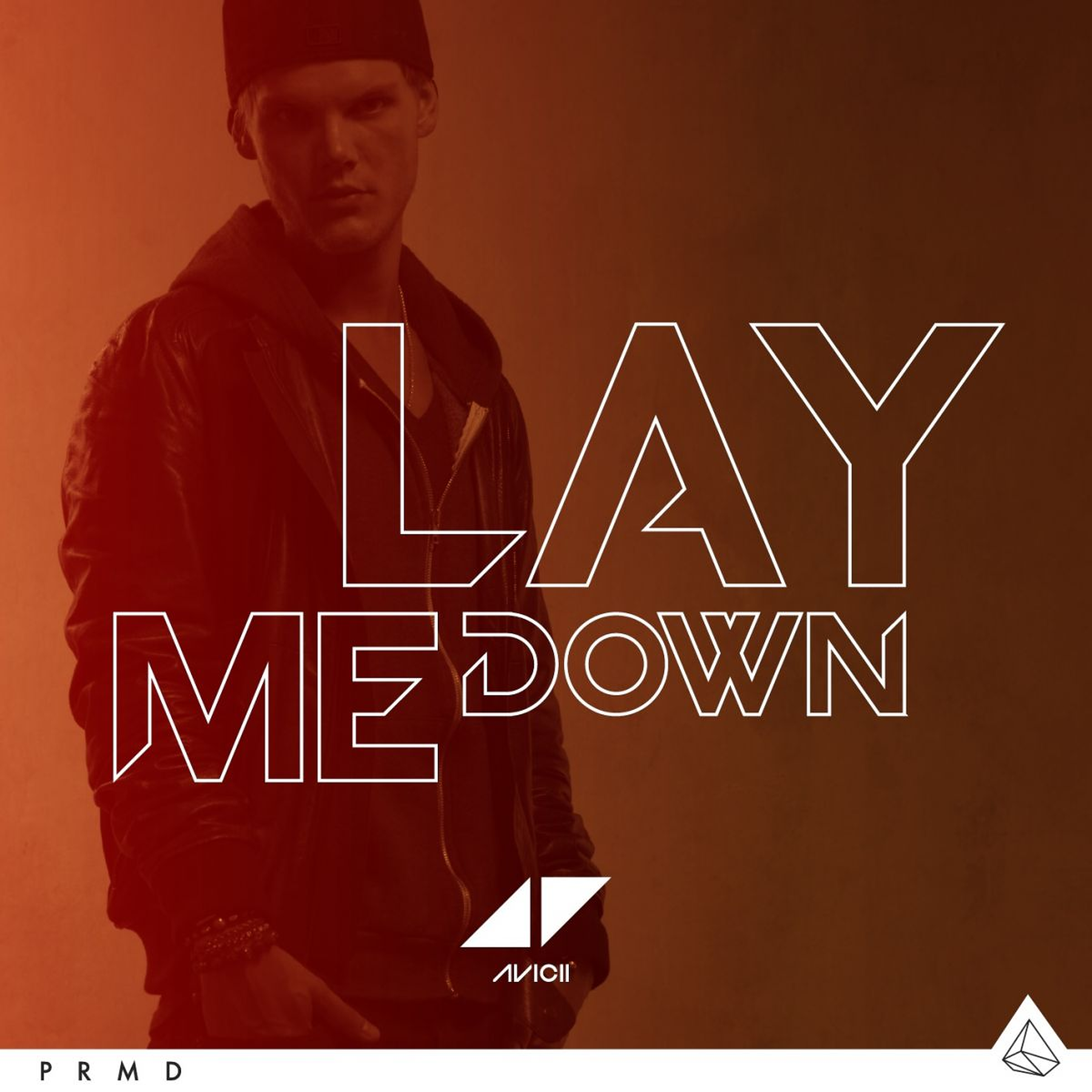 Avicii – Hold The Line Lyrics