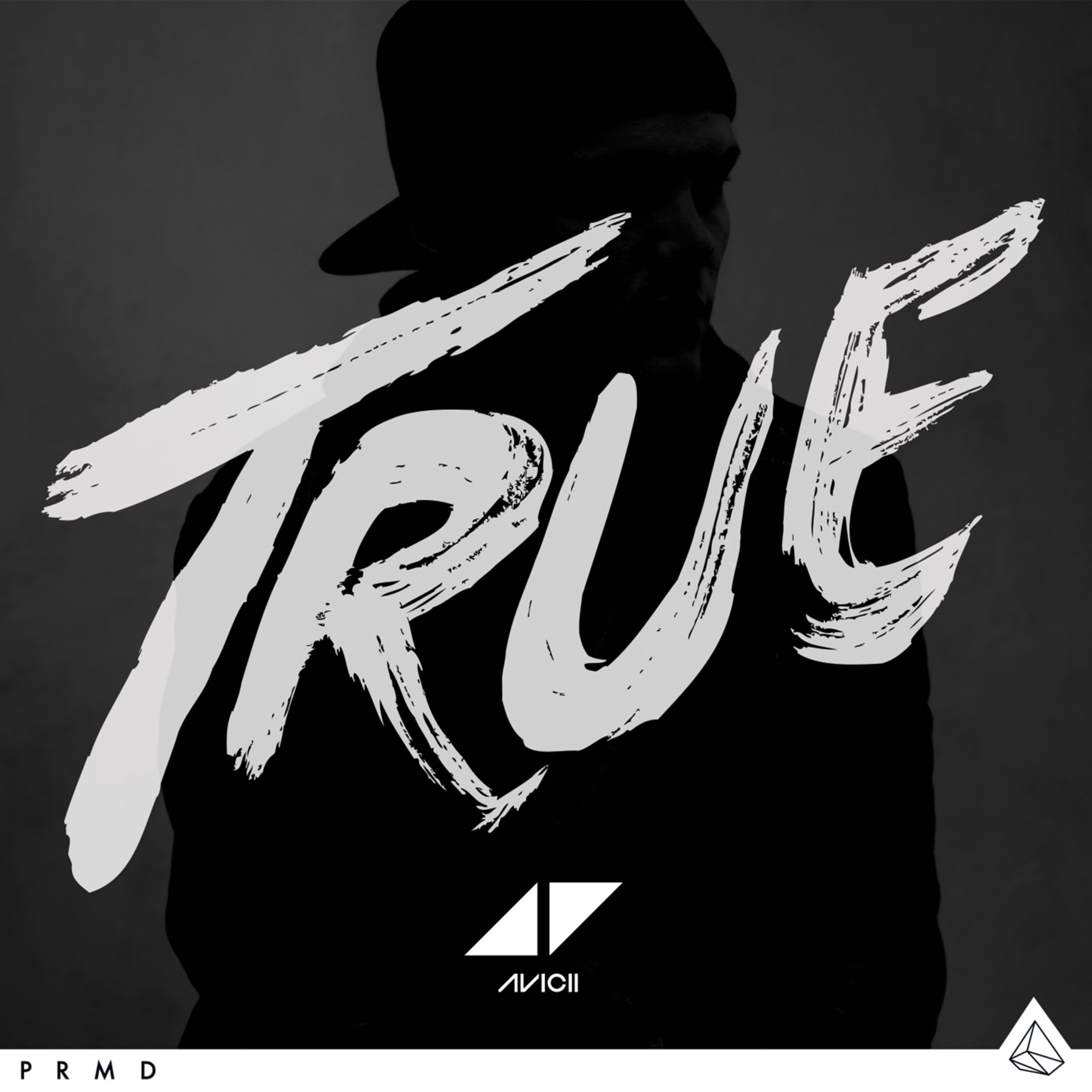AVICII パーカー S アヴィーチー GILDAN True Stories Stories Oversize Hoodie – Avicii Official Merchandise