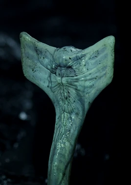 Хаммерпеде