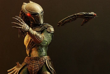 Falconer и его Сокол-Разведчик