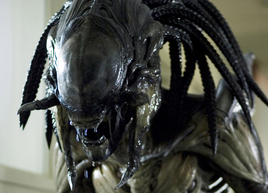Alien-Predalien