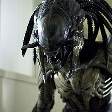 Predalien (Caste) | Xenopedia | Fandom