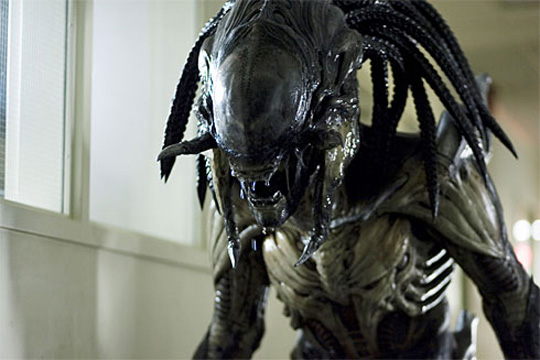 Alien Just Set up a Xenomorph/Predator Hybrid Deadlier Than AvP's