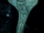 Hammerpede