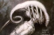 Giger's initial Facehugger design, showing a larger creature.